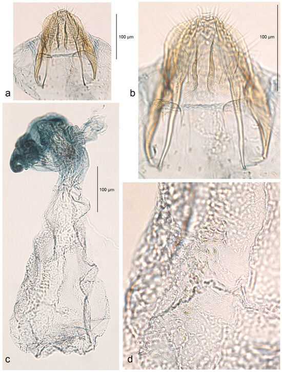 Insects 16 00964 g010