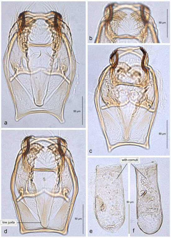 Insects 16 00964 g014