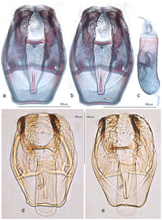 Insects 16 00964 g018
