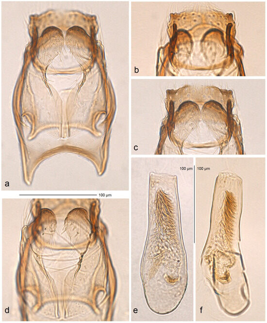 Insects 16 00964 g023