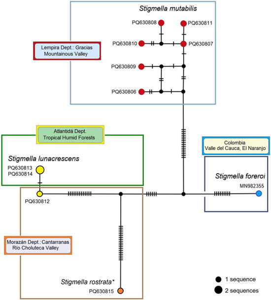 Insects 16 00964 g025
