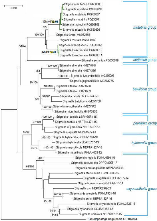 Insects 16 00964 g026