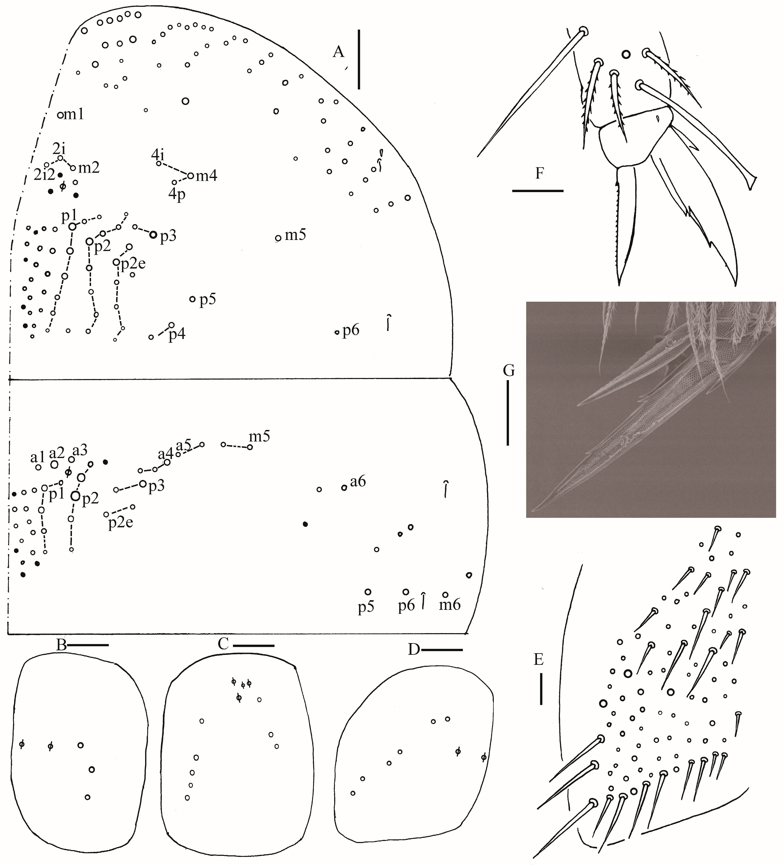 Insects 16 00974 g003