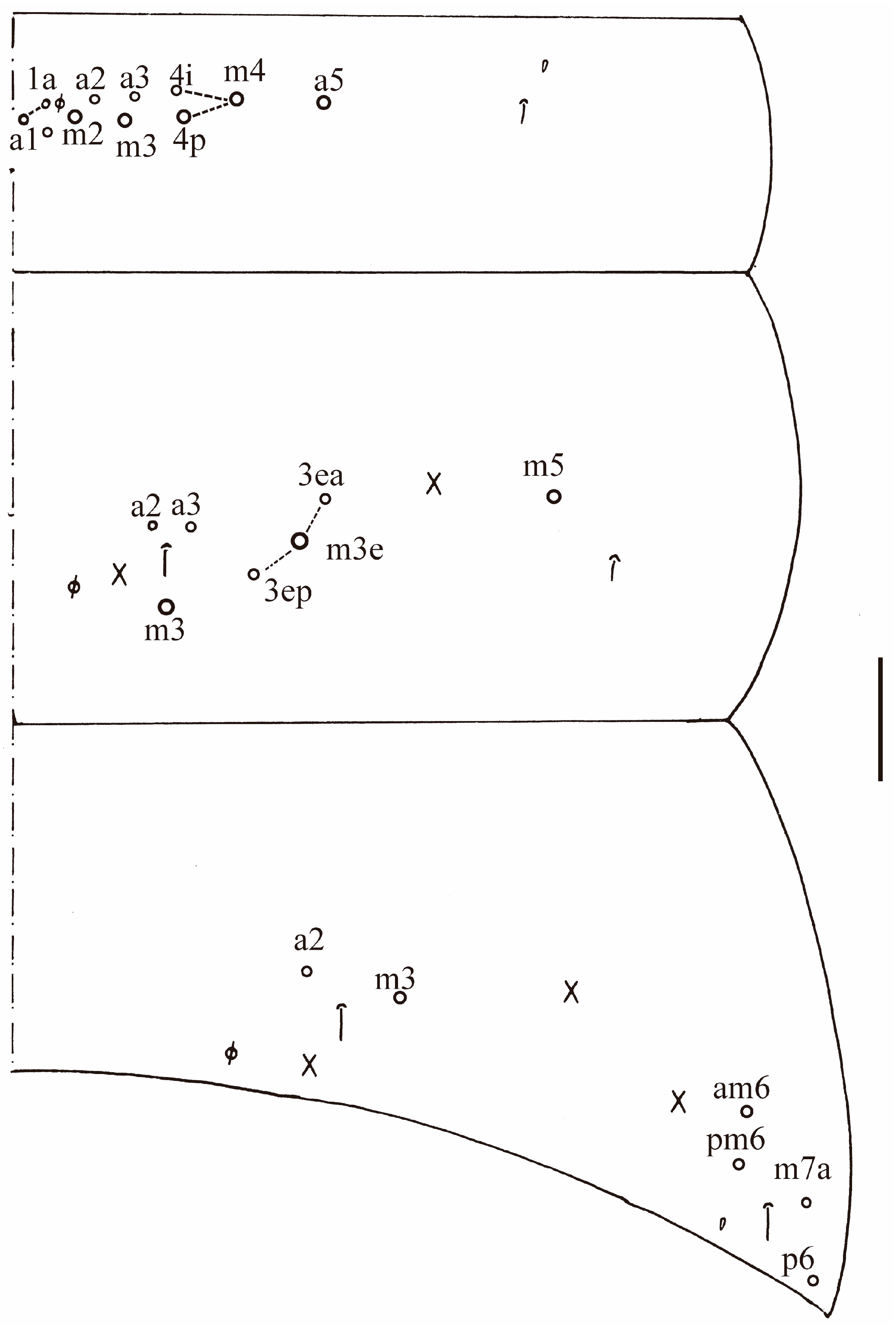 Insects 16 00974 g004