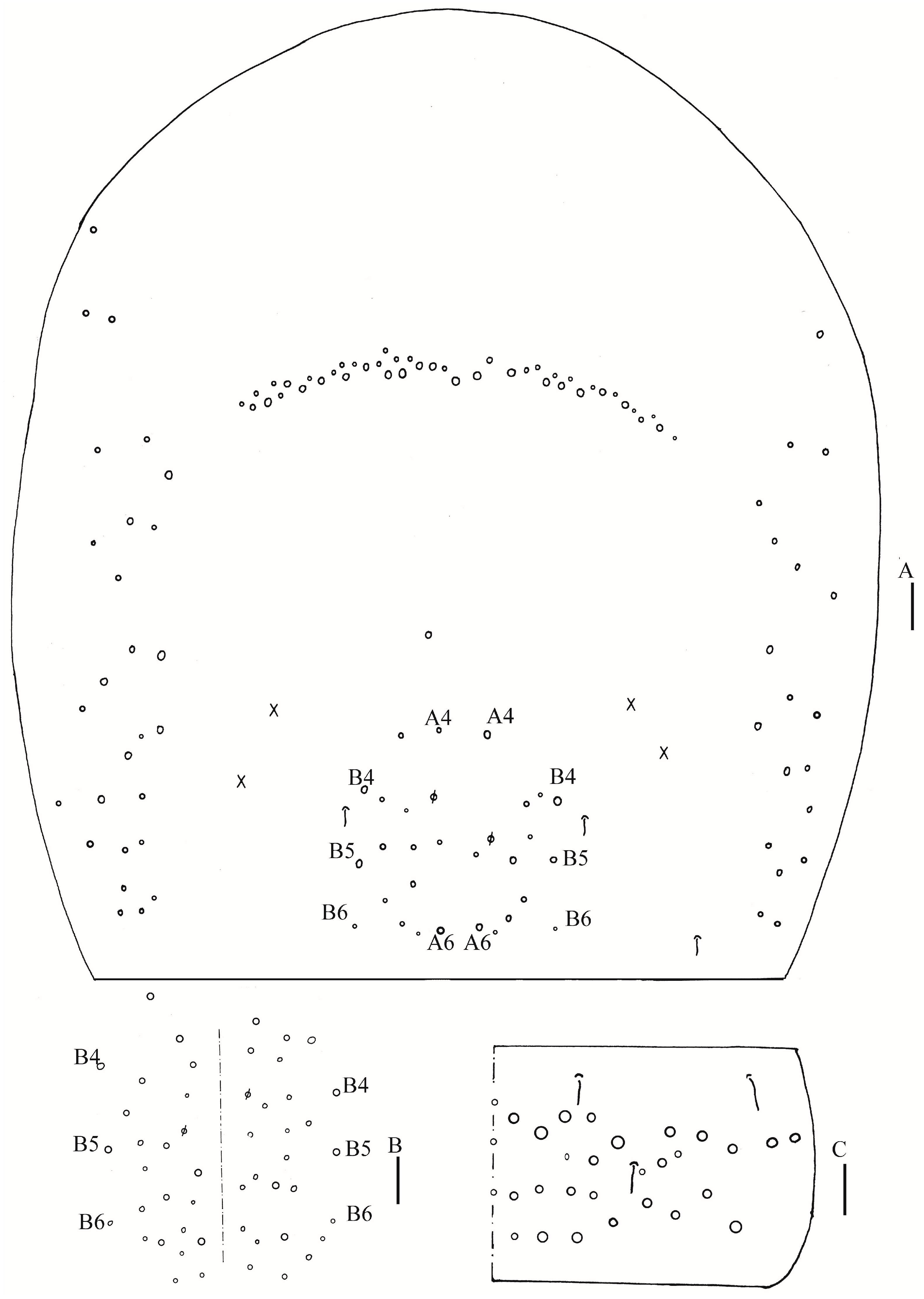 Insects 16 00974 g005