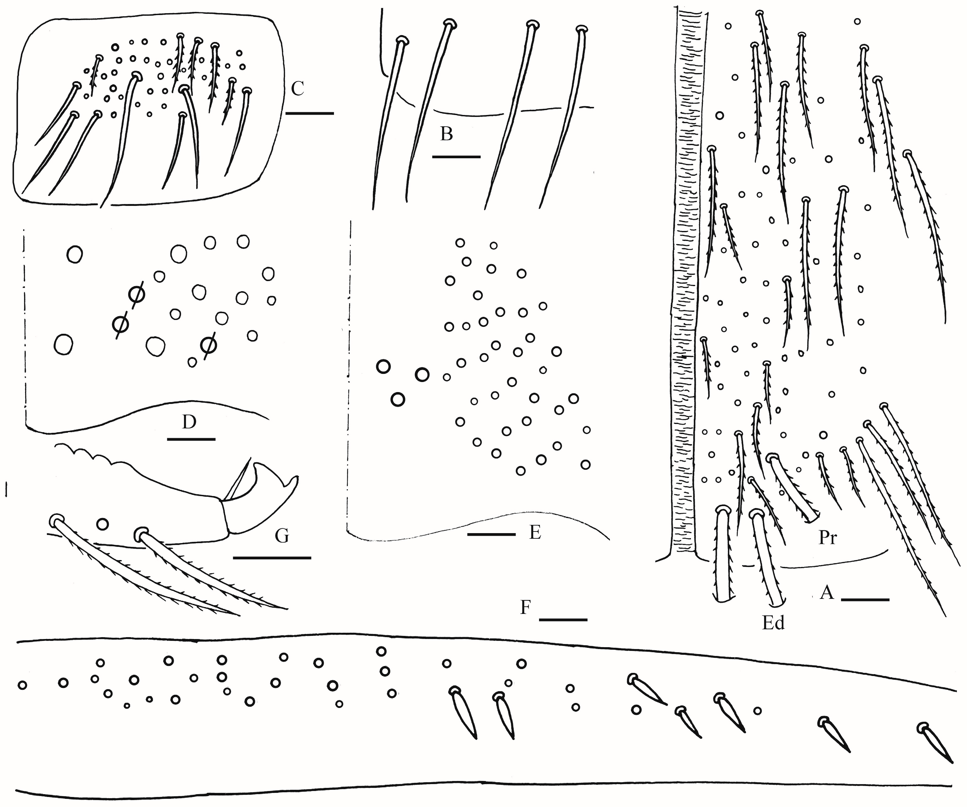 Insects 16 00974 g006