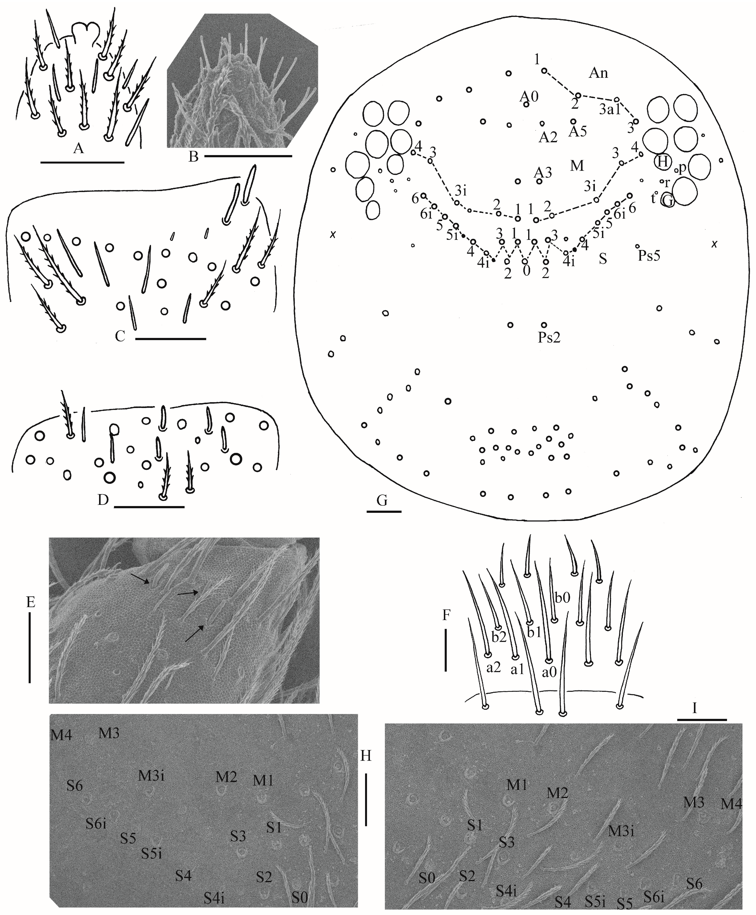 Insects 16 00974 g008