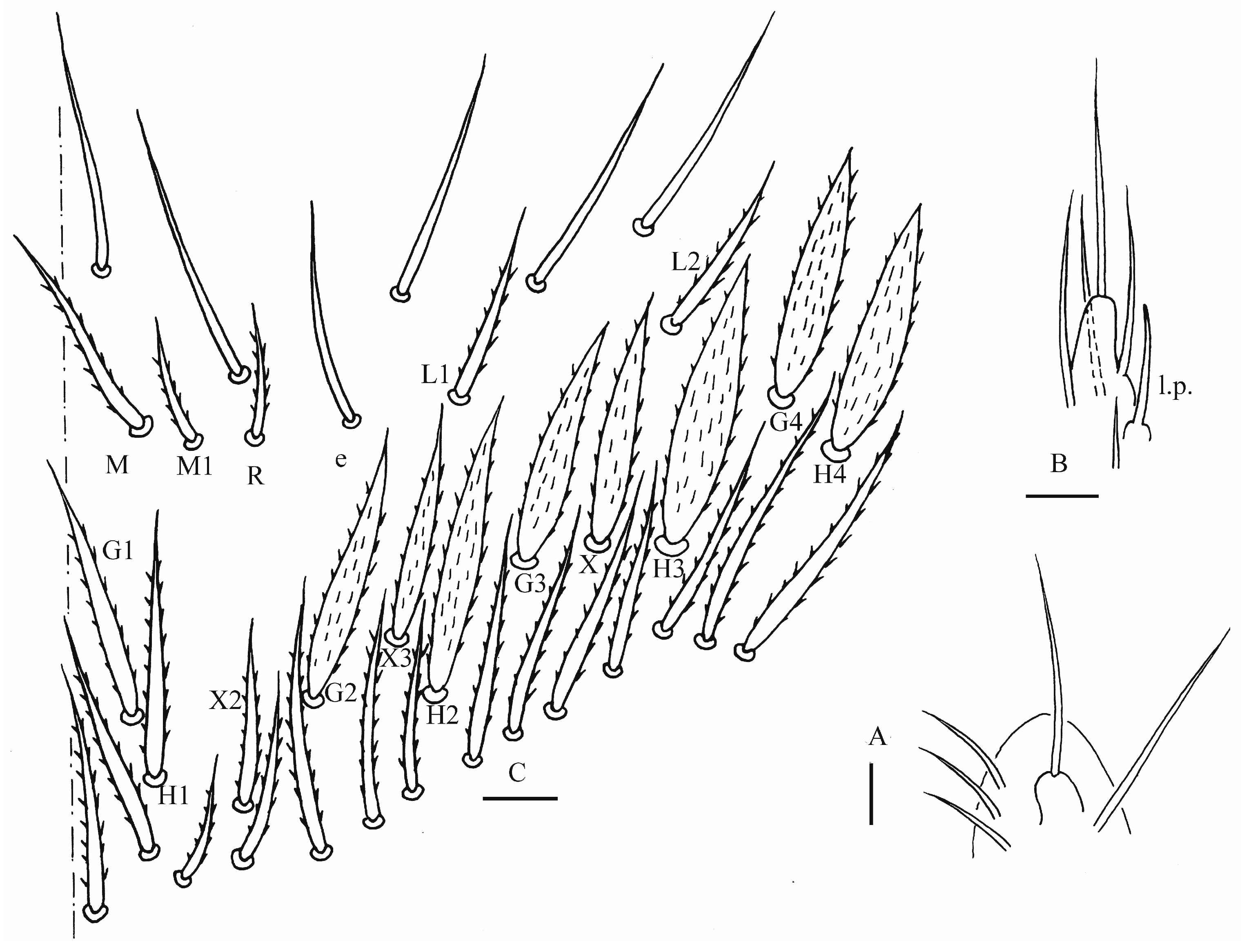 Insects 16 00974 g009