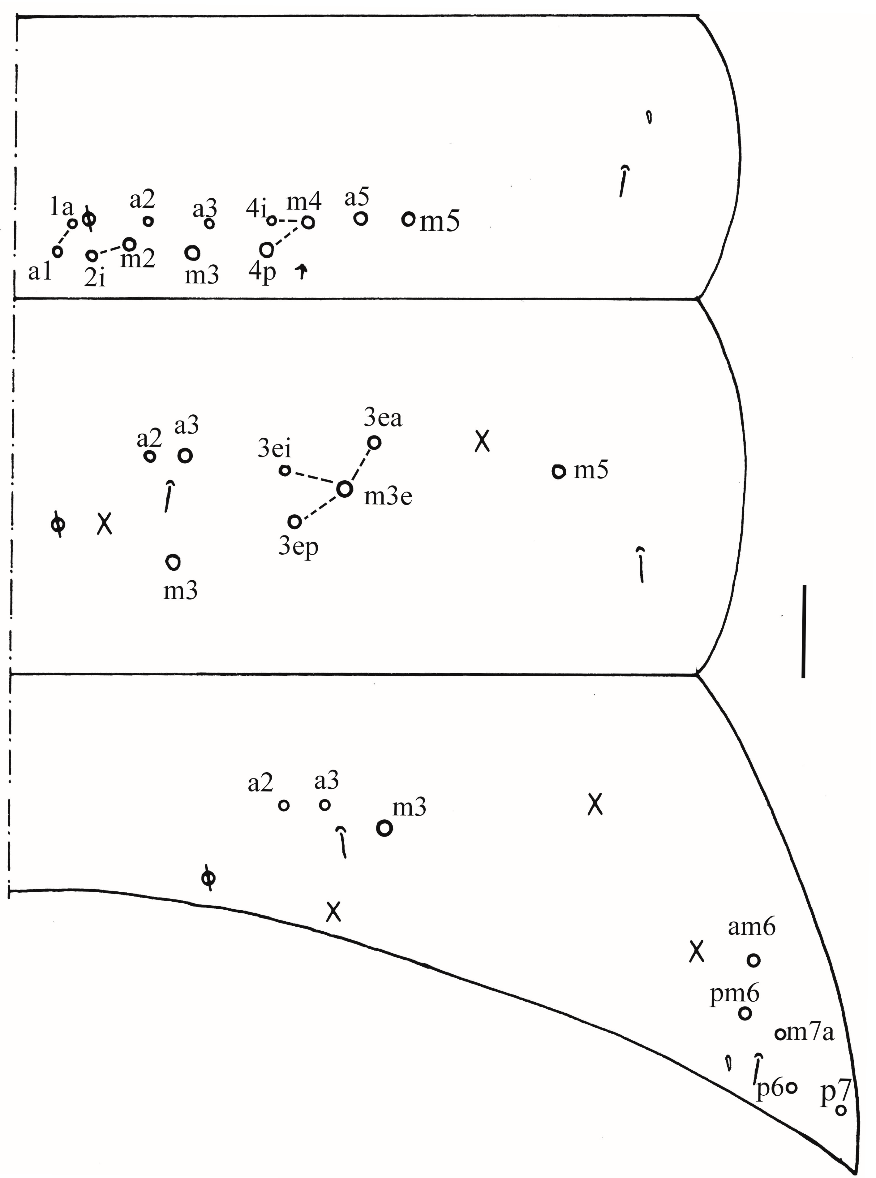 Insects 16 00974 g011