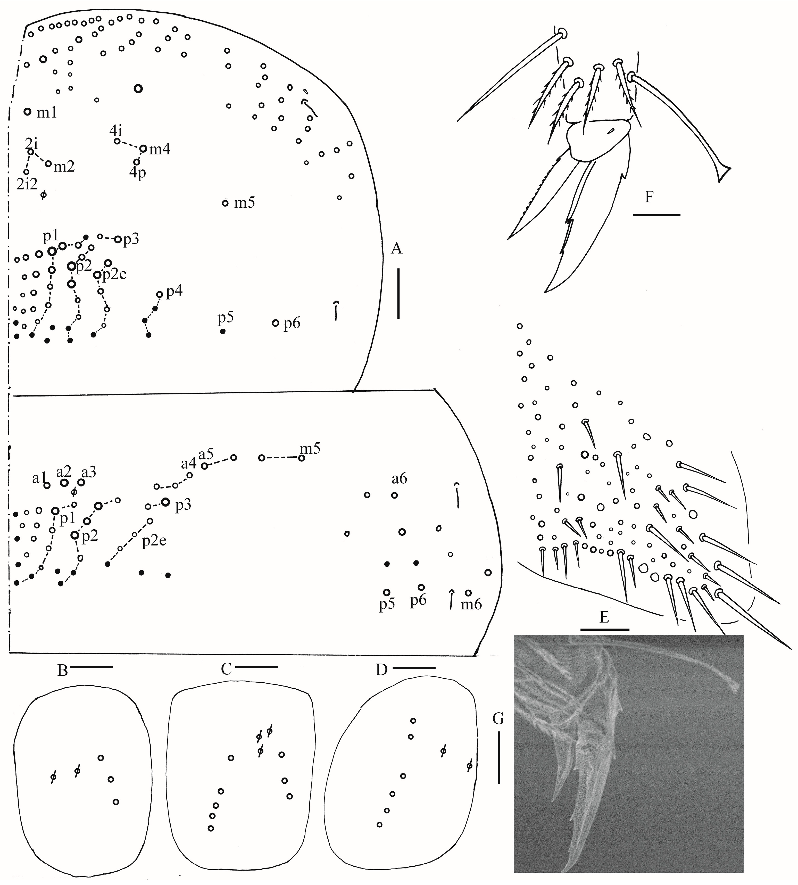 Insects 16 00974 g016