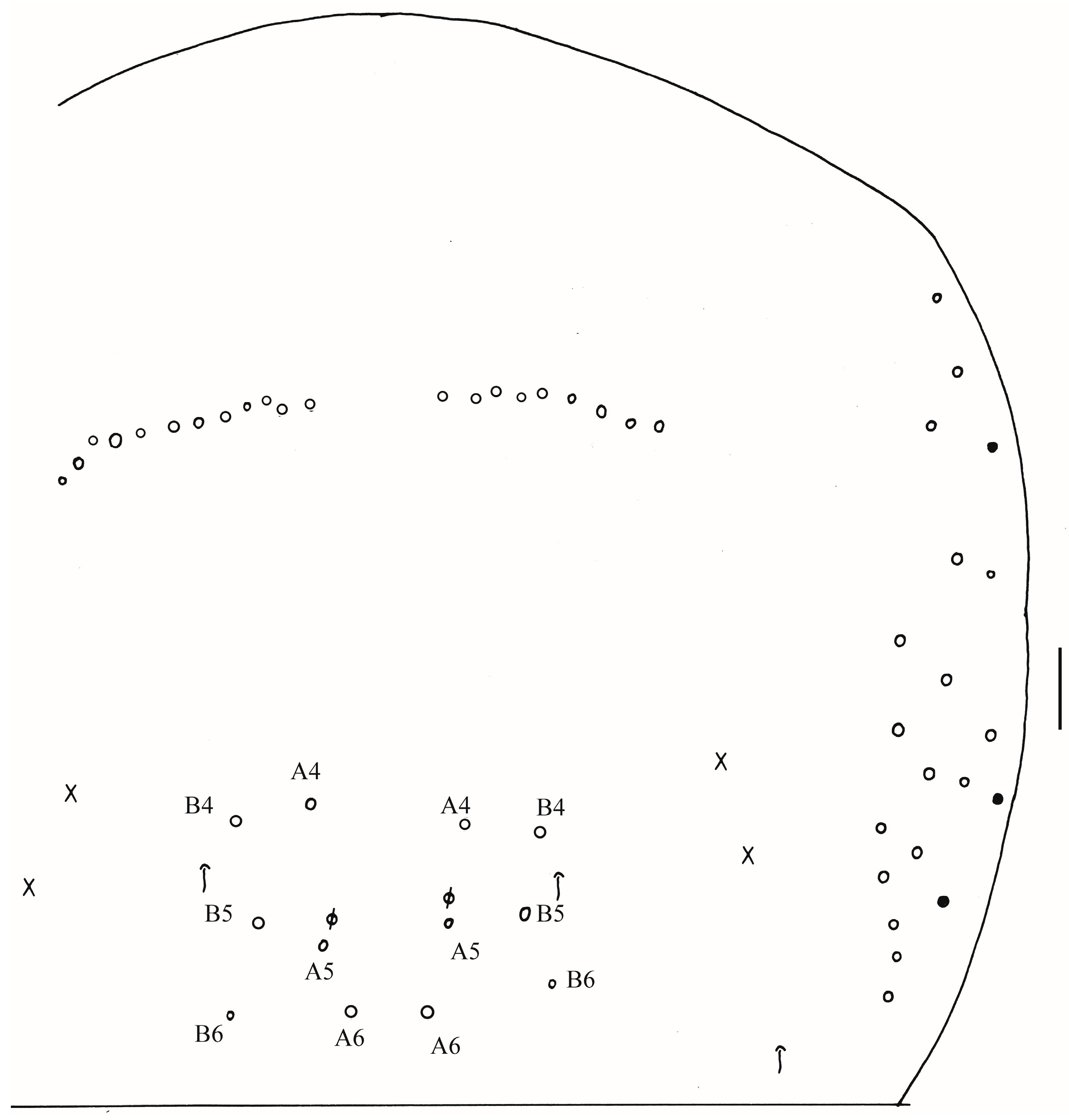 Insects 16 00974 g018