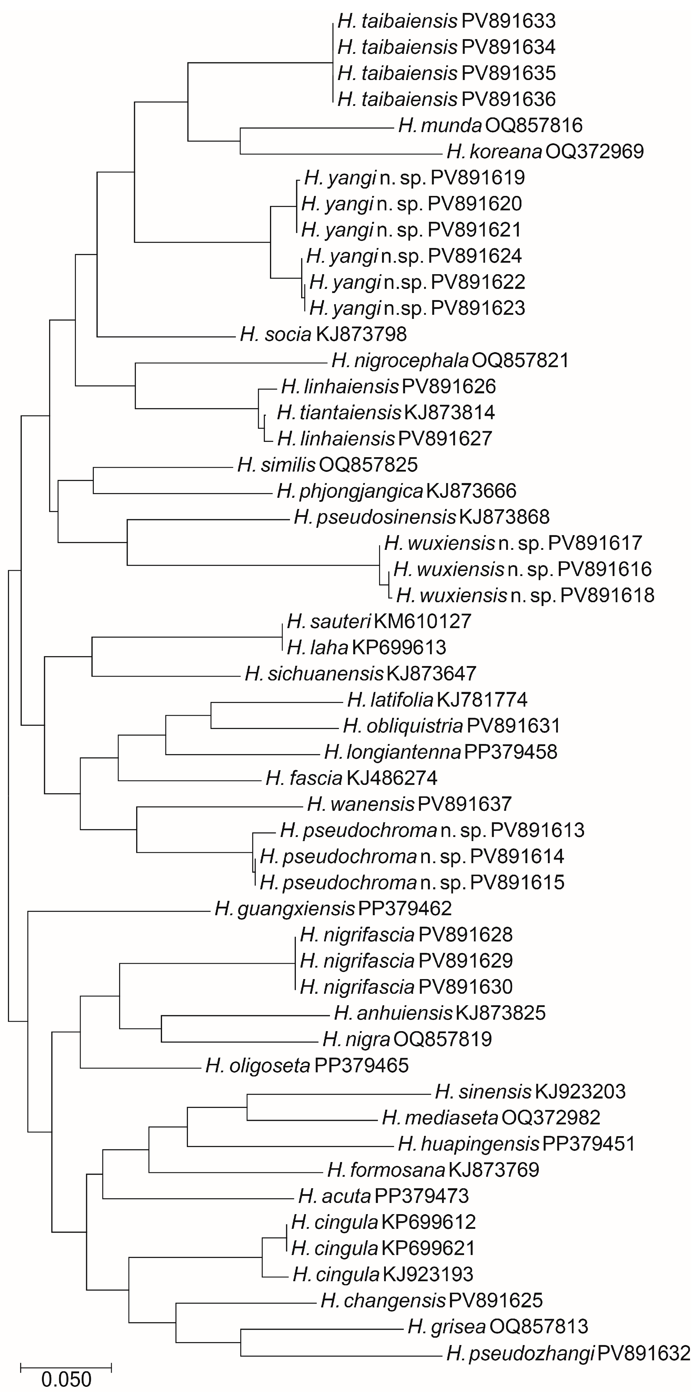 Insects 16 00974 g020