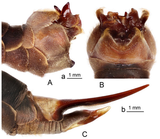 Insects 16 00978 g002