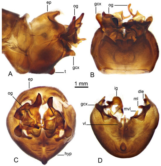 Insects 16 00978 g003