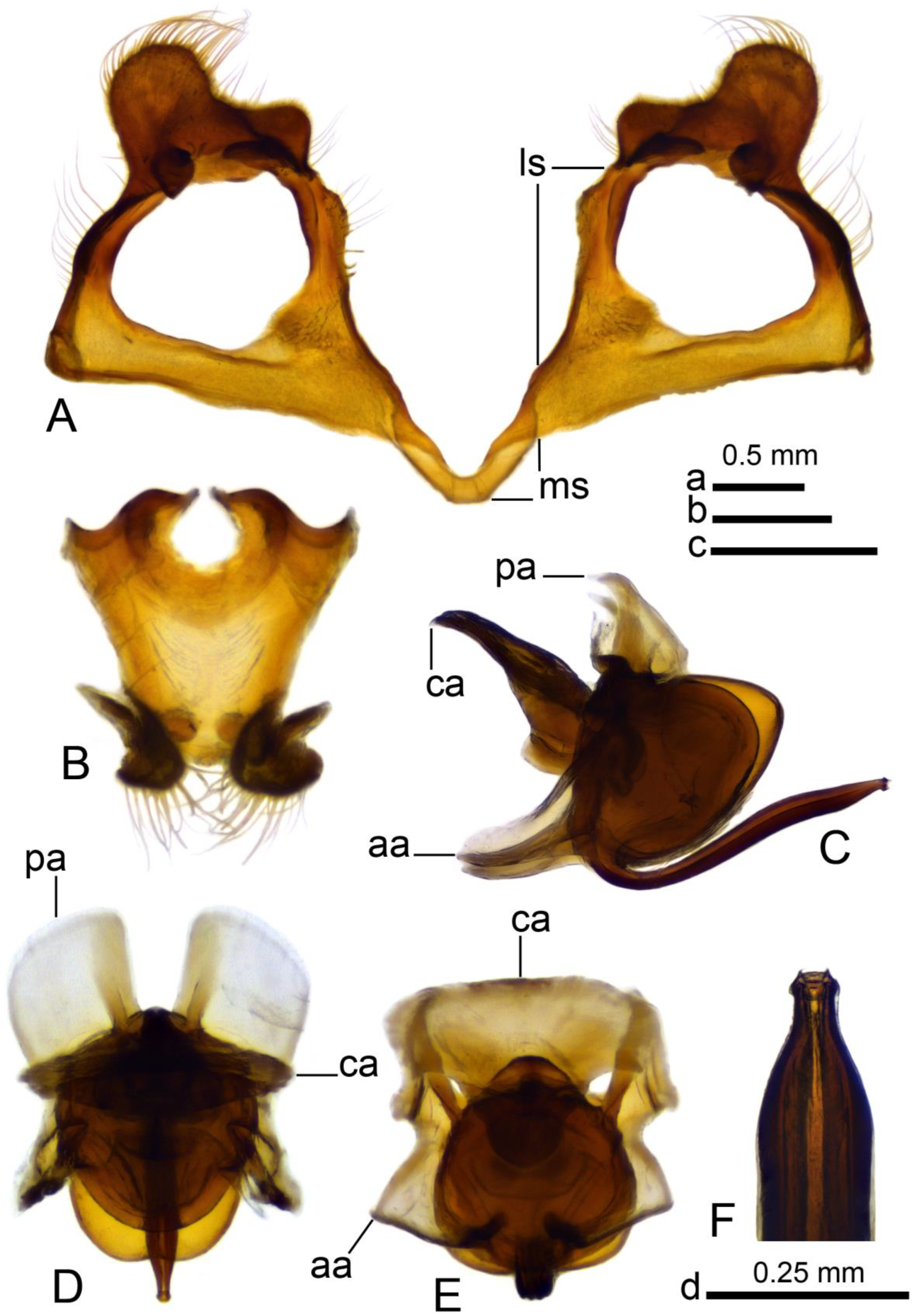Insects 16 00978 g005