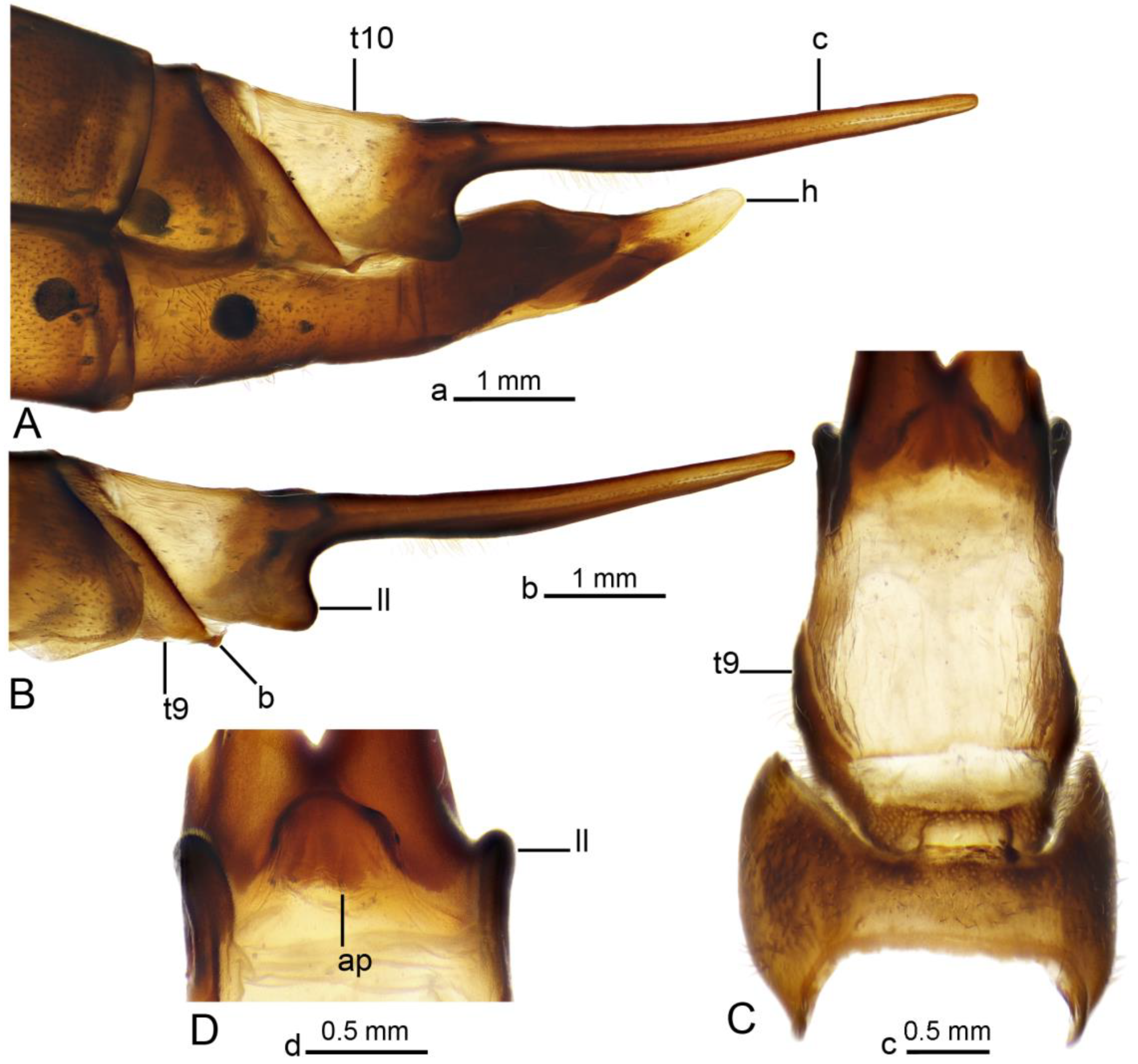 Insects 16 00978 g006