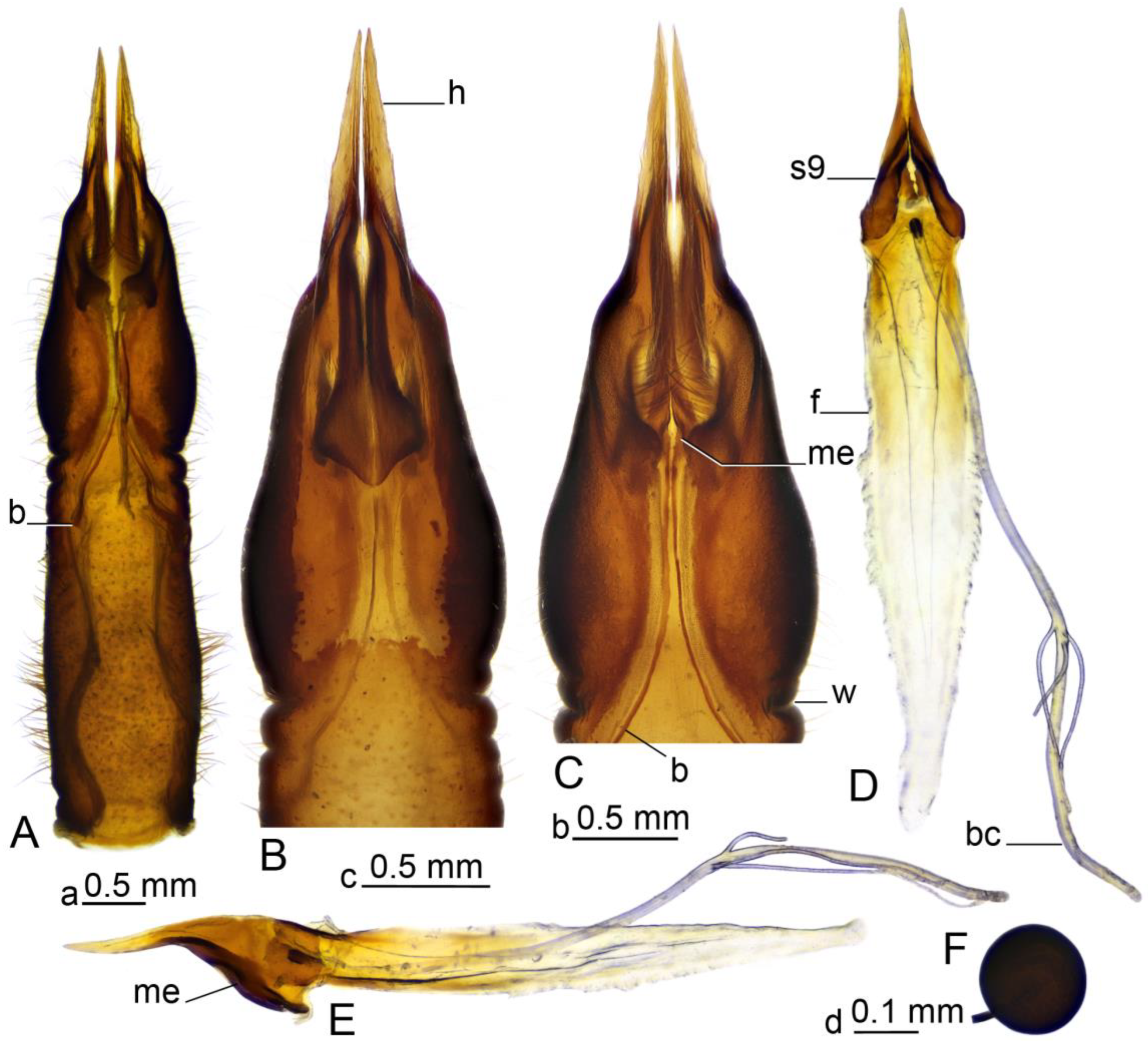 Insects 16 00978 g007