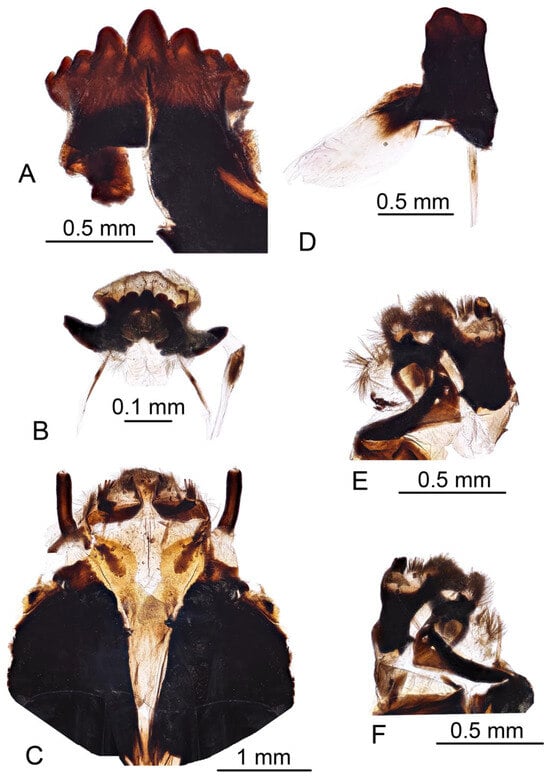 Insects 16 00978 g010