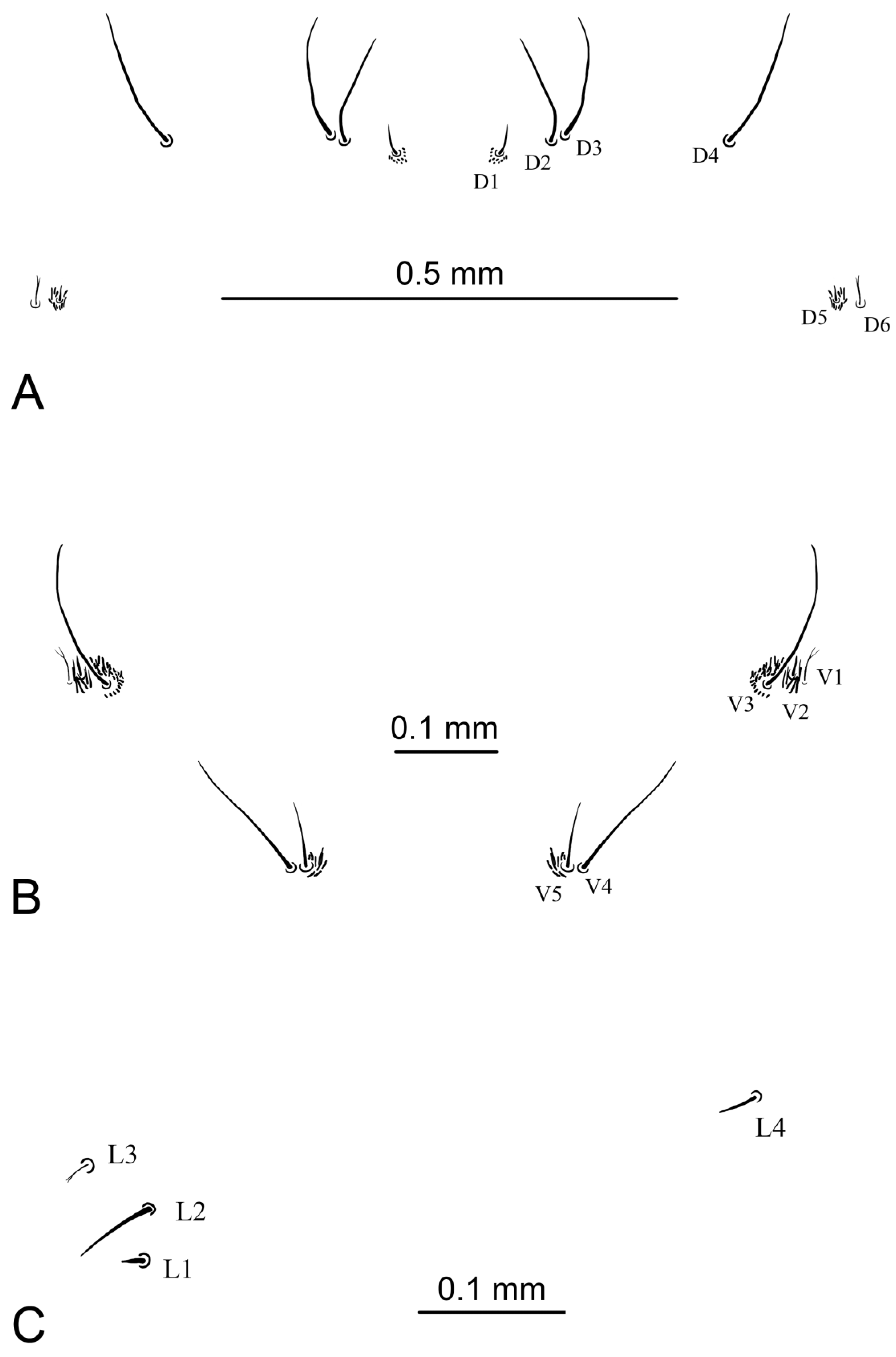 Insects 16 00978 g011