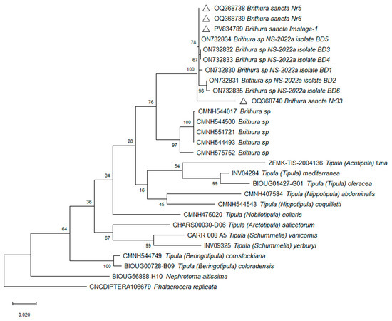 Insects 16 00978 g013