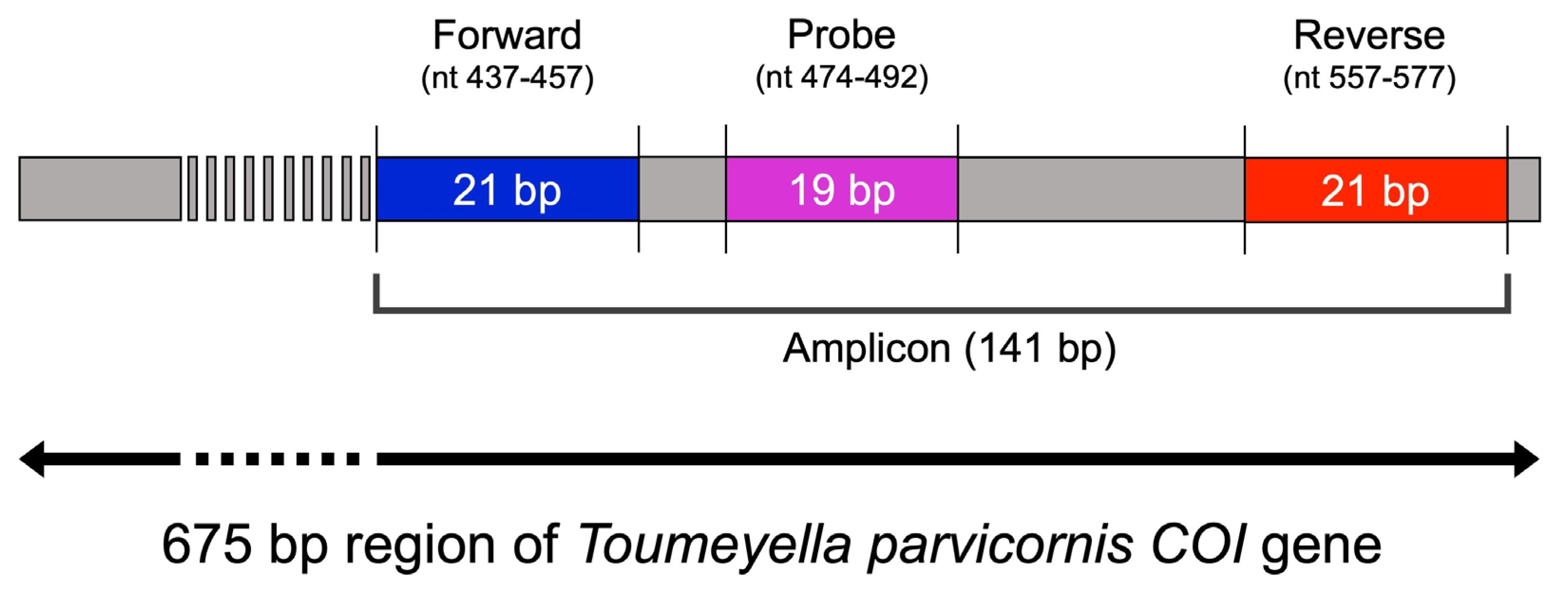 Insects 16 00982 g001 Insects 16 00982 g001