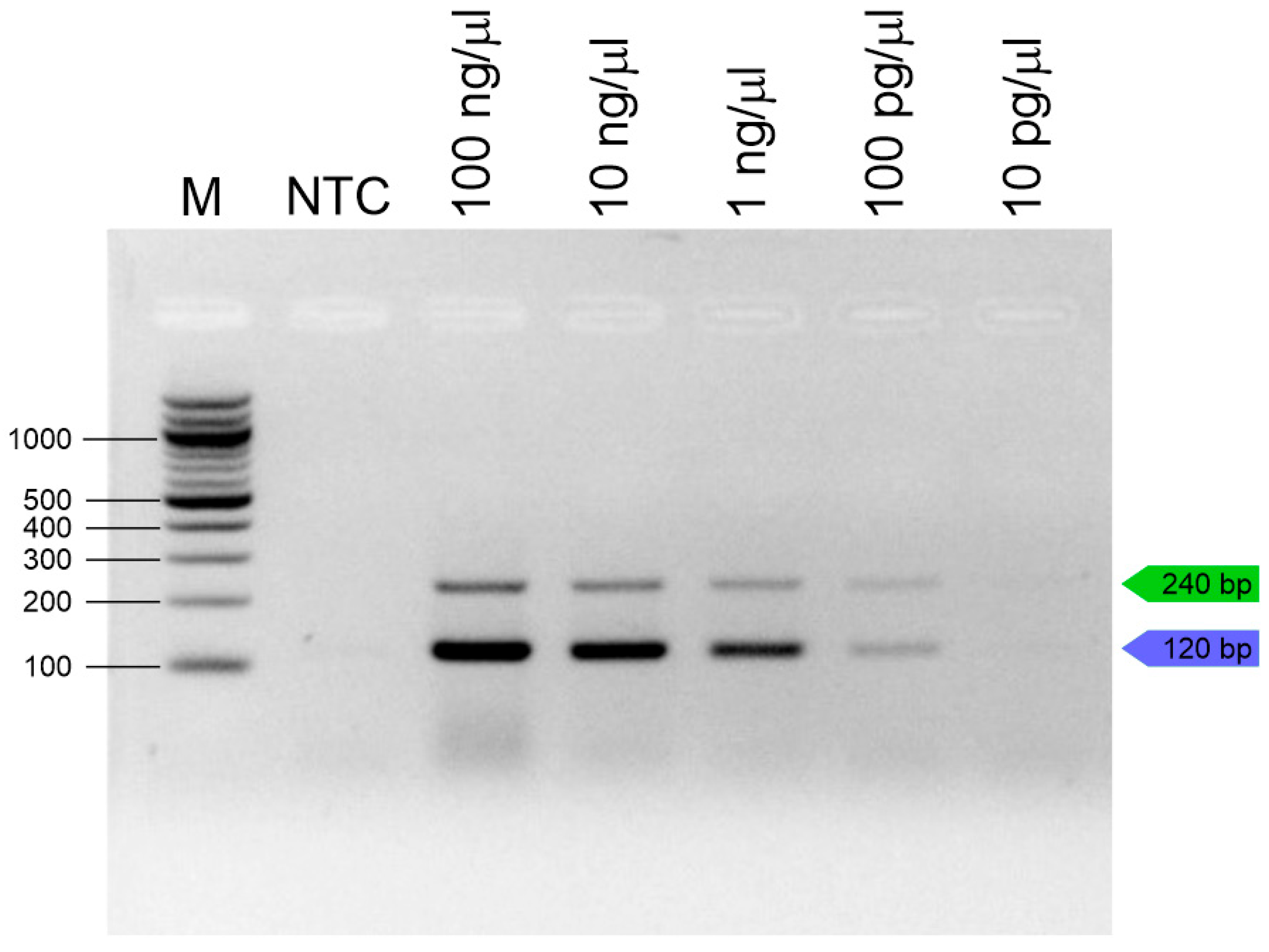 Insects 16 00983 g002