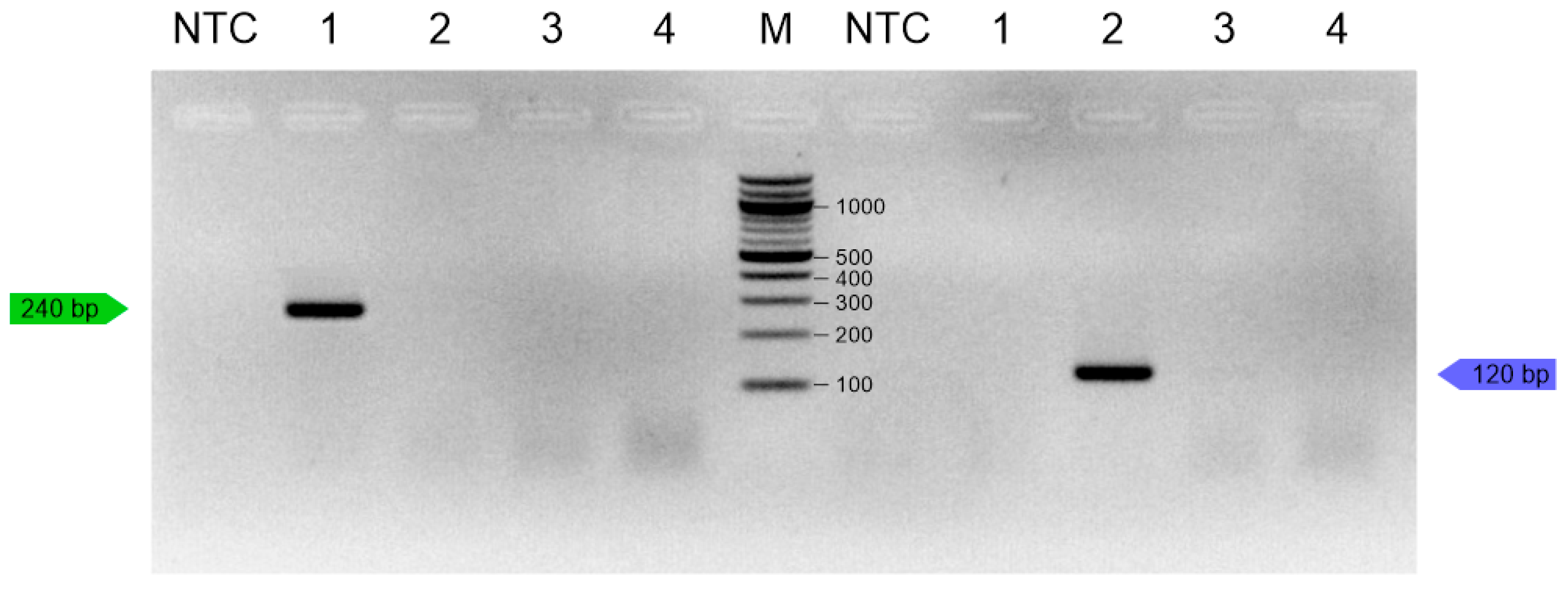 Insects 16 00983 g003