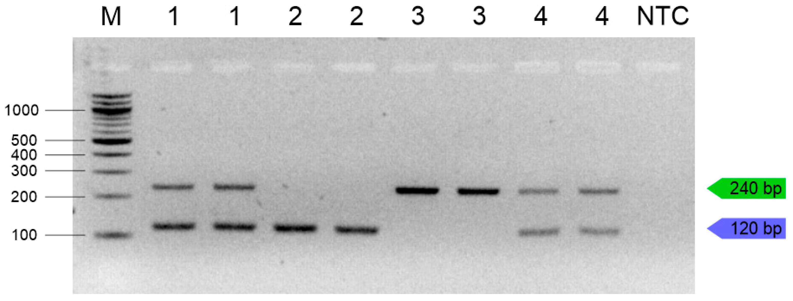 Insects 16 00983 g004