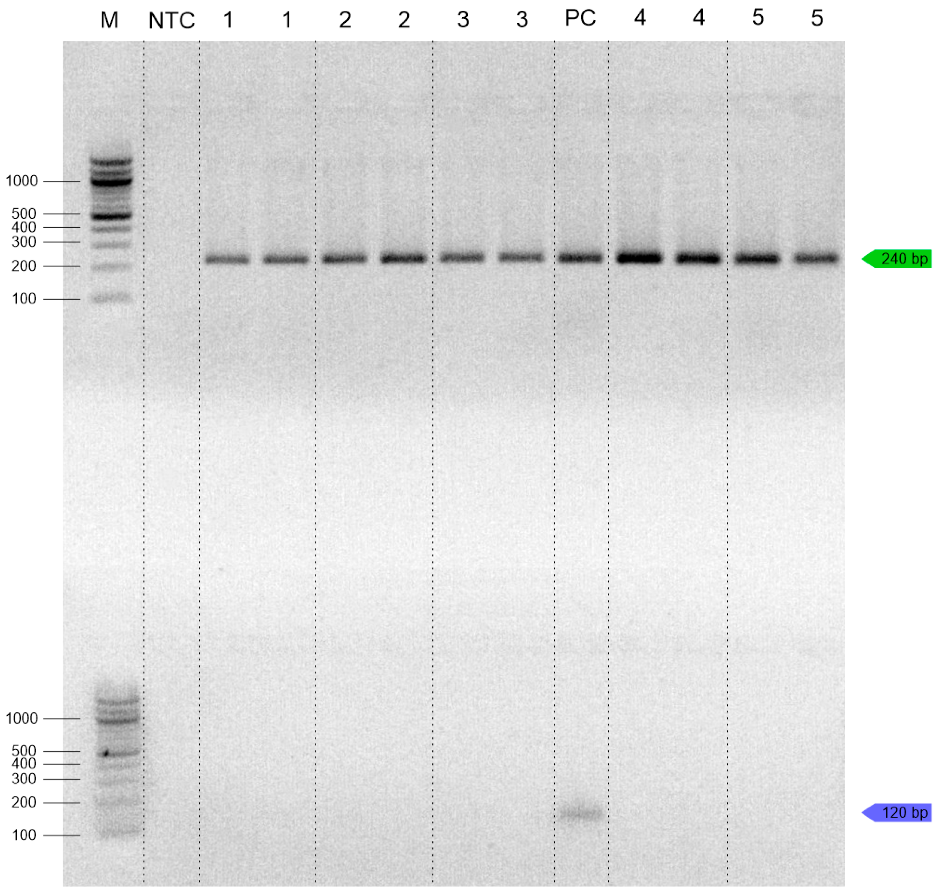 Insects 16 00983 g005