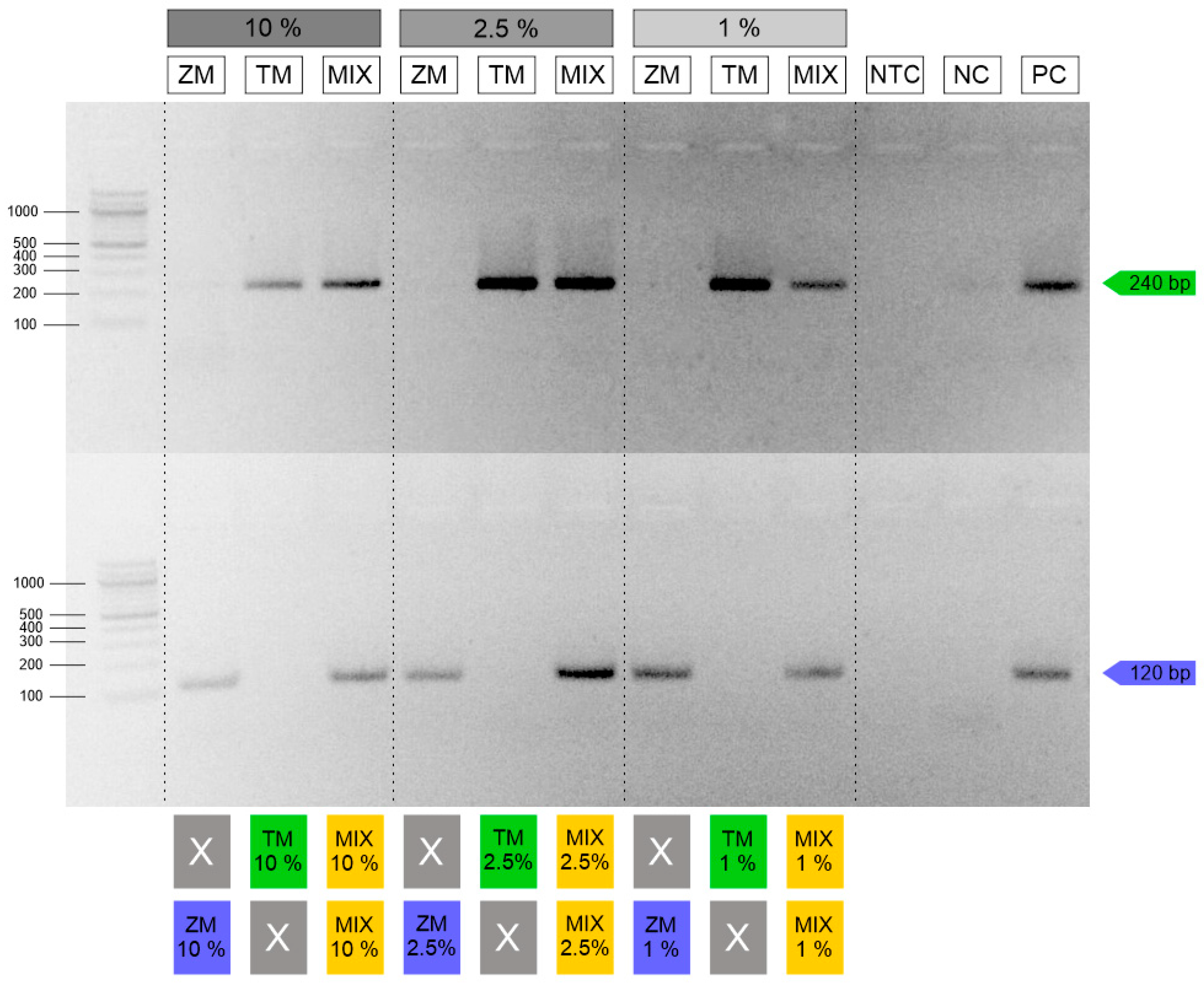 Insects 16 00983 g006