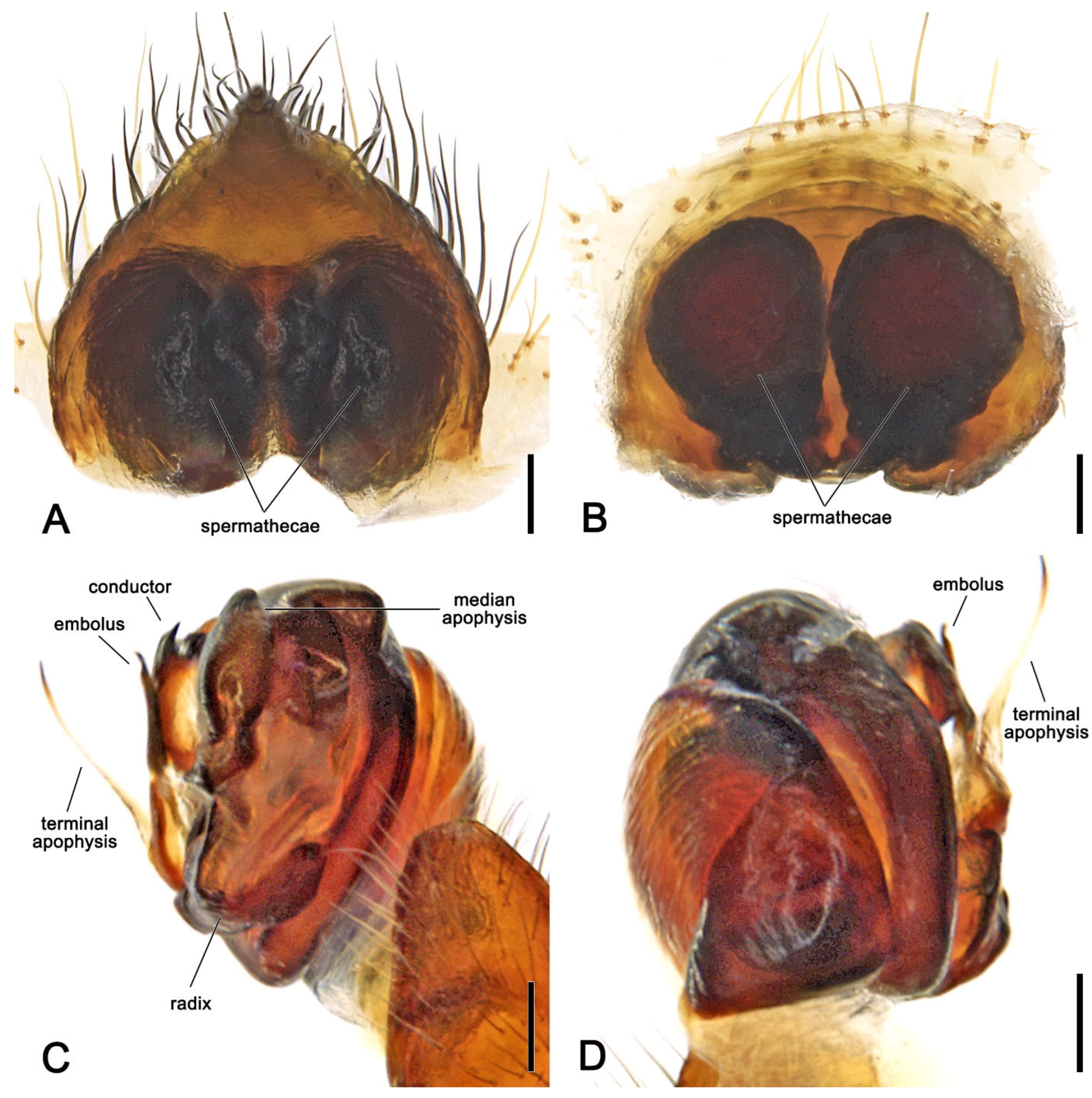 Insects 16 00992 g006
