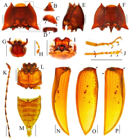 Insects 16 01003 g002