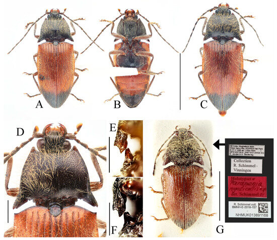 Insects 16 01003 g003