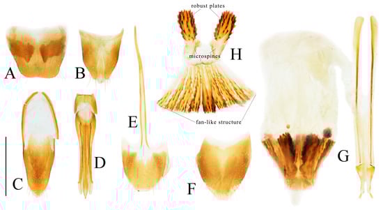 Insects 16 01003 g004