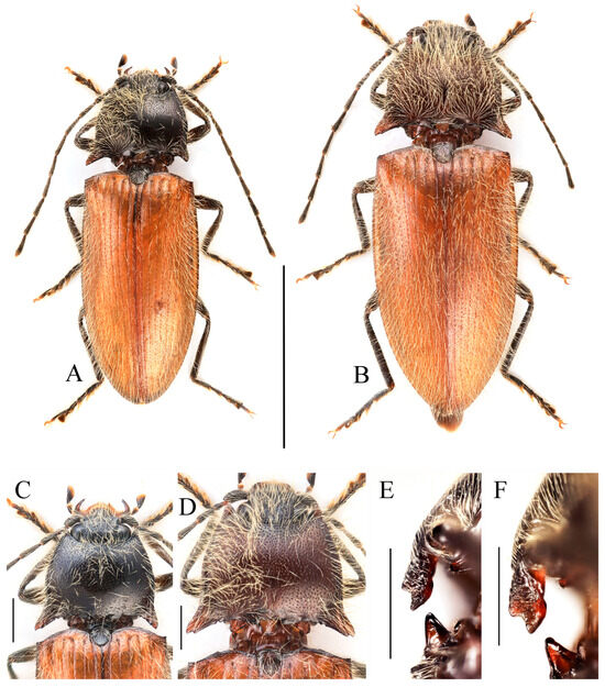 Insects 16 01003 g005