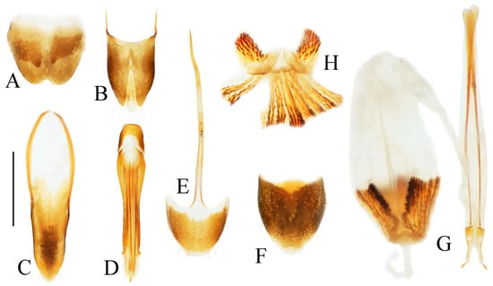 Insects 16 01003 g006