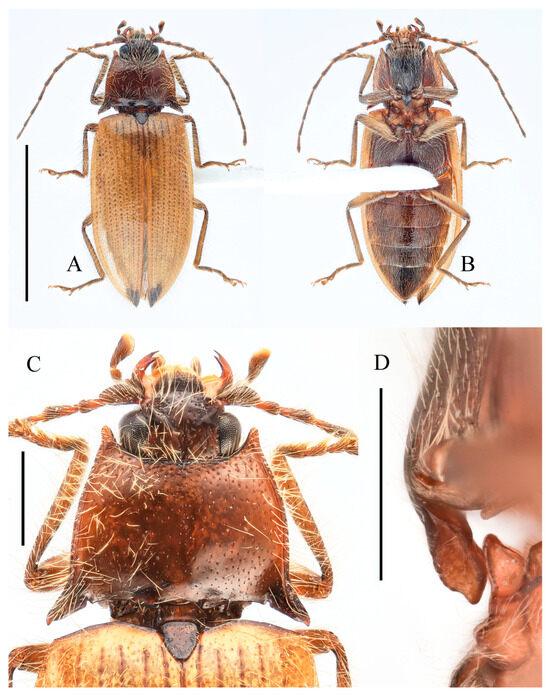 Insects 16 01003 g007