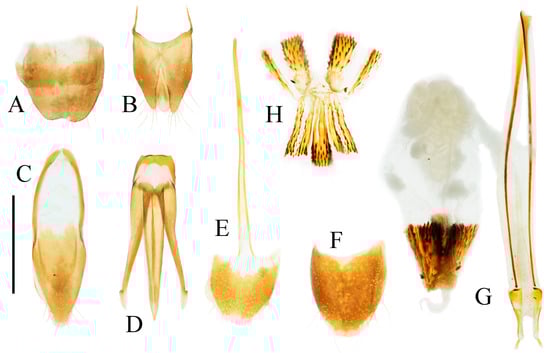 Insects 16 01003 g008