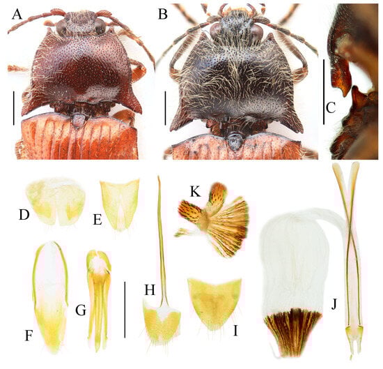 Insects 16 01003 g011