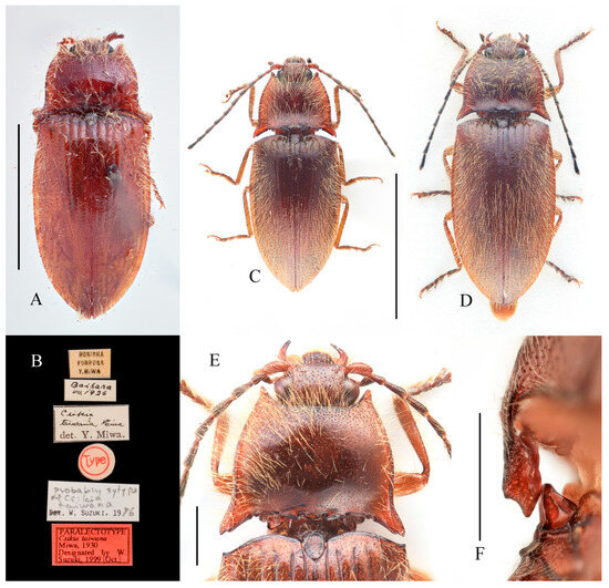 Insects 16 01003 g012