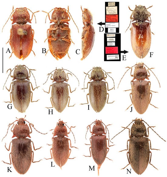 Insects 16 01003 g014