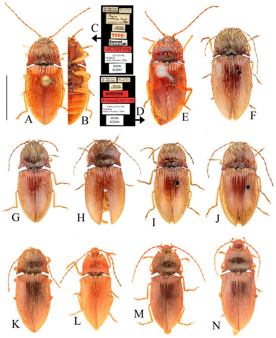 Insects 16 01003 g017