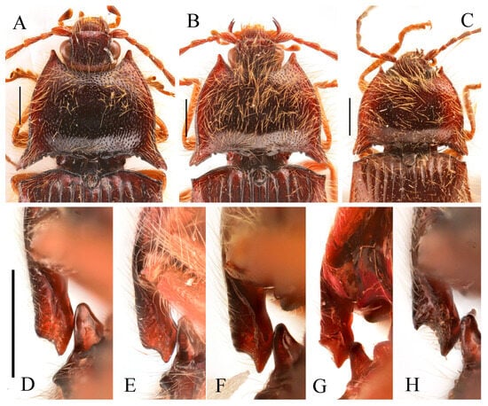 Insects 16 01003 g018