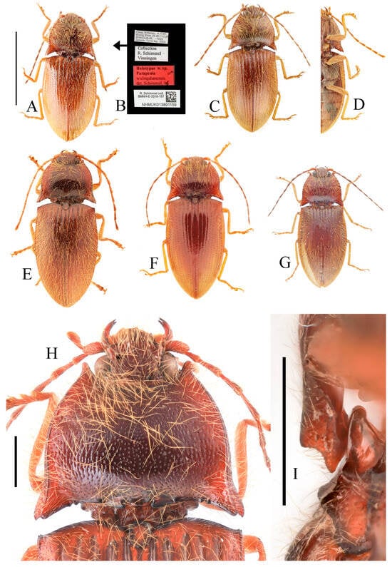 Insects 16 01003 g021