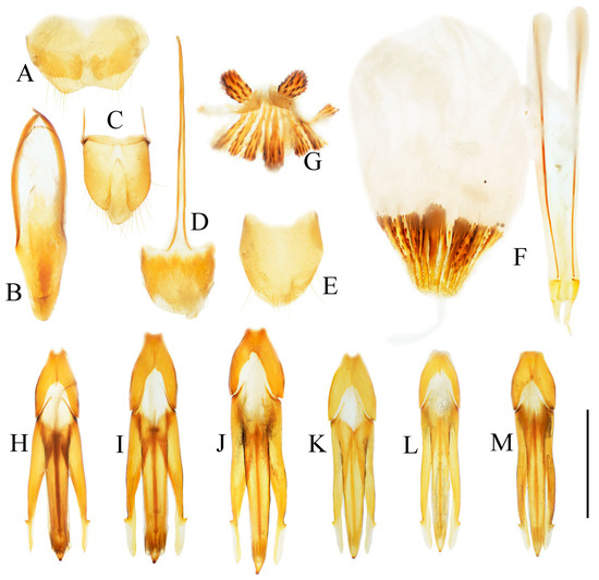 Insects 16 01003 g022