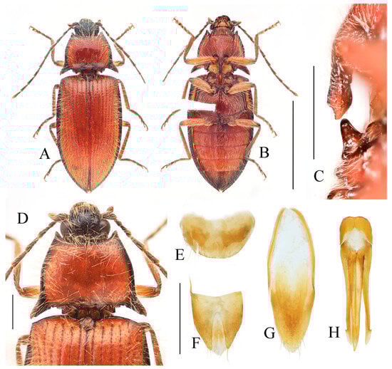 Insects 16 01003 g024