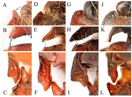 Insects 16 01003 g025