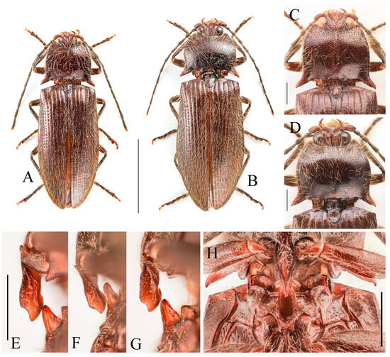 Insects 16 01003 g026