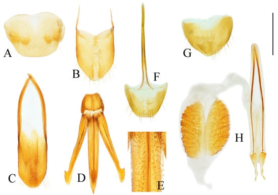 Insects 16 01003 g027