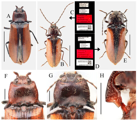 Insects 16 01003 g028